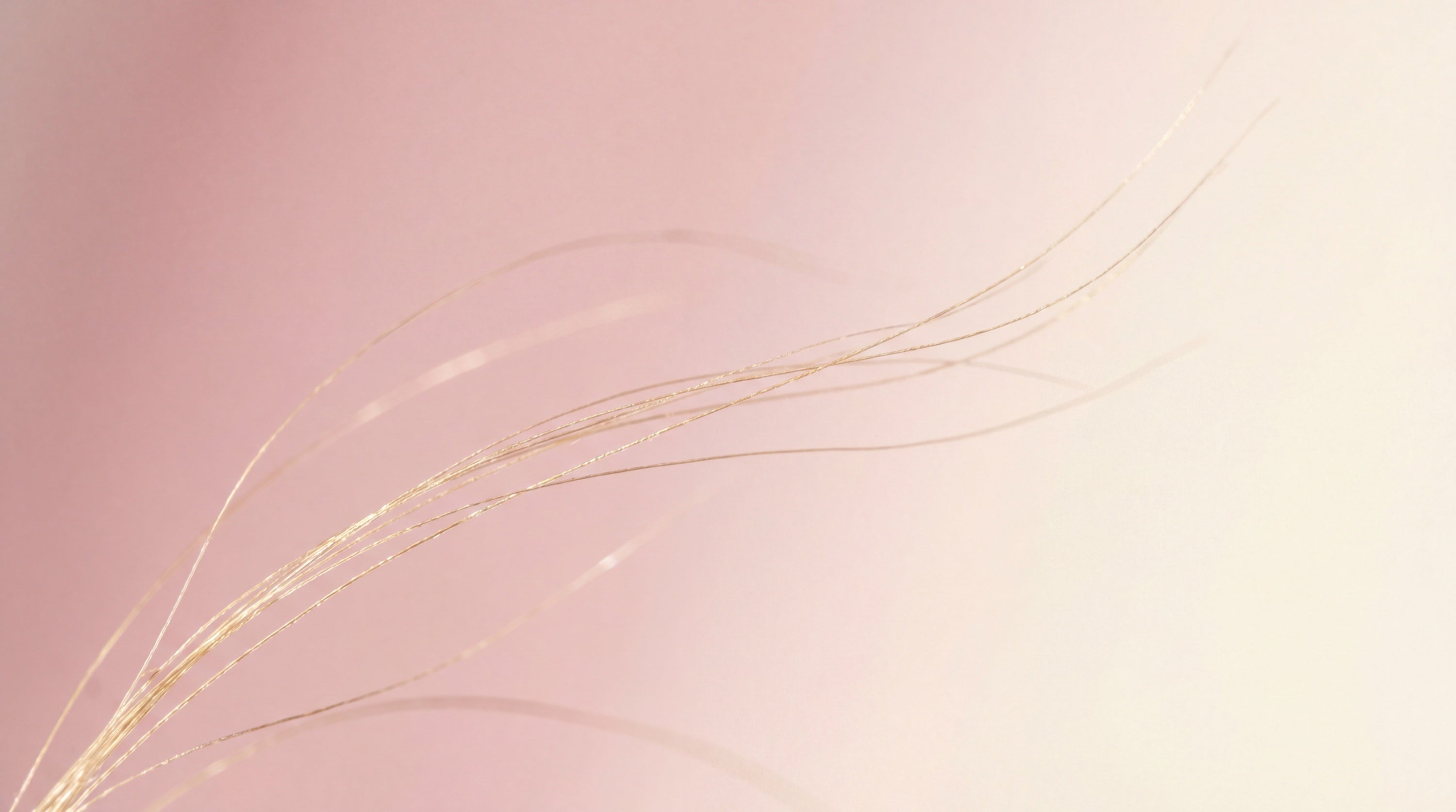 The Best Hair Extensions for Fine, Thin Hair (2026 Guide)